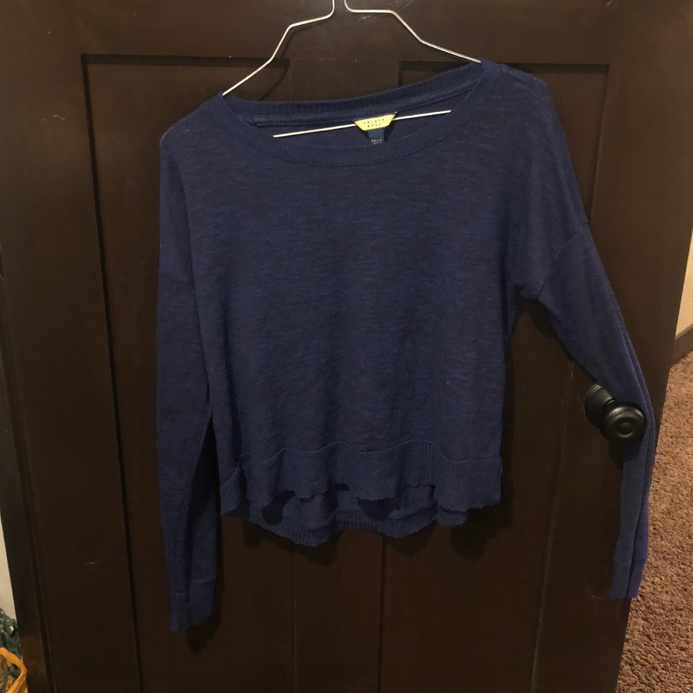 Blue prince and fox sweater